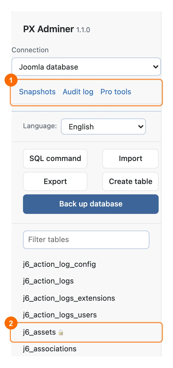 PX Adminer sidebar with the Pro links and a protected table