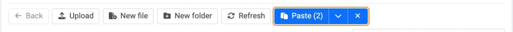 Paste button with two items on the clipboard